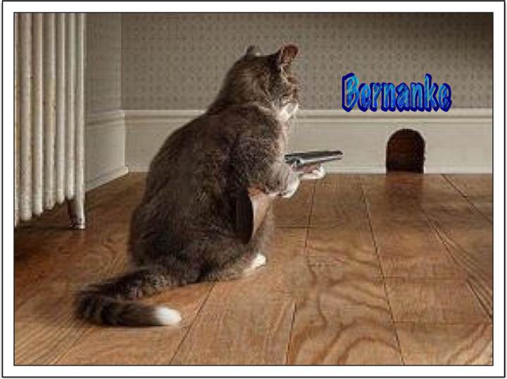 17202885684_9eaa36014a_b