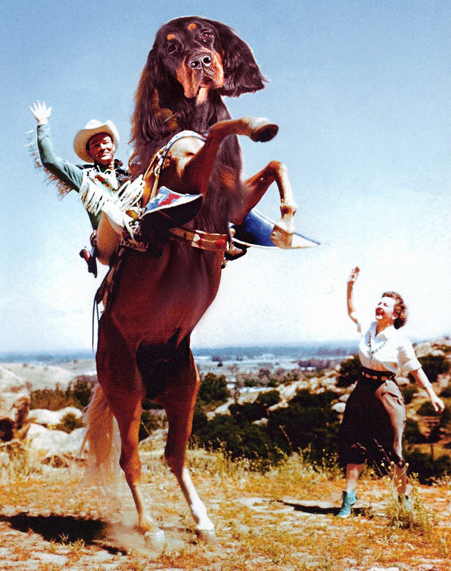 17302018006_dd3315a9a1_c