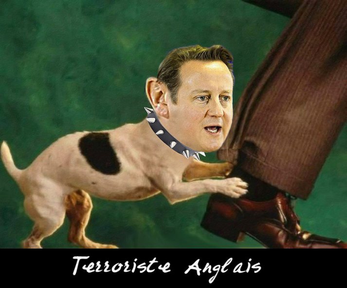 17957735832_49d2b2b14a_c