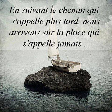 12144955_825429324246216_8141400995628377722_n