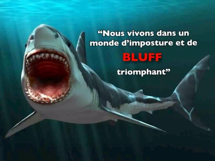 12234942_411626102367216_2296060502305733339_n