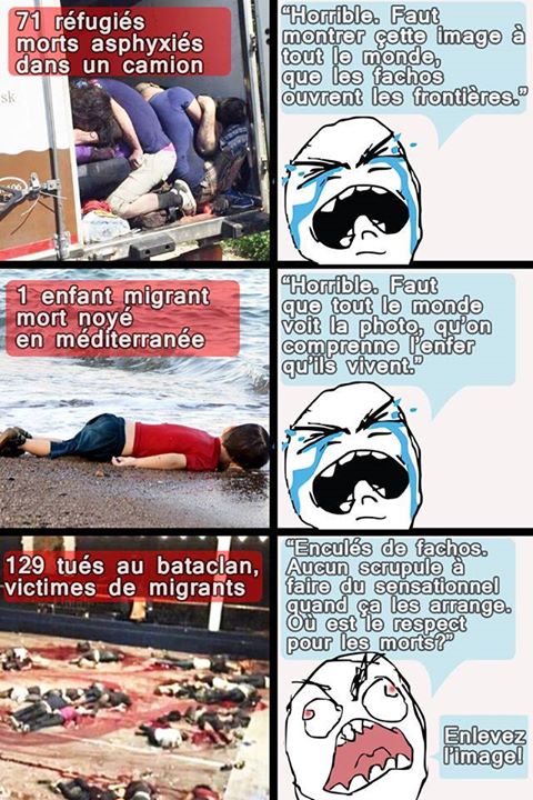 12243280_706774899421968_1775534851463100437_n