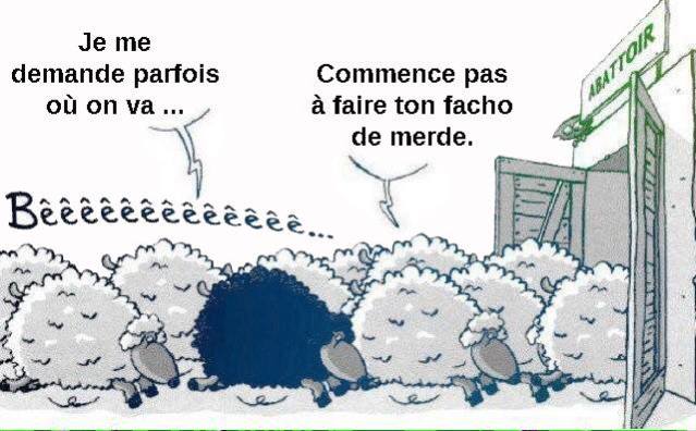 11140042_1256919704322003_9169901599846593126_n