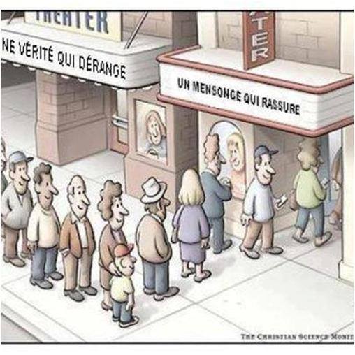 12274661_1072460162788872_8575900227113793067_n