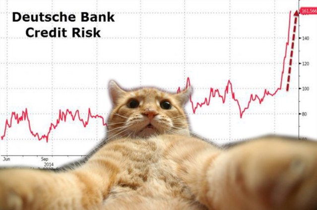 24428246159_c10818803b_b