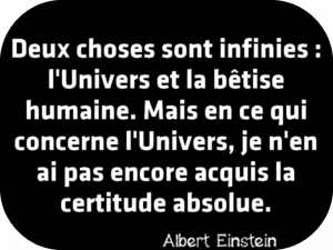 Citation bêtise.jpg