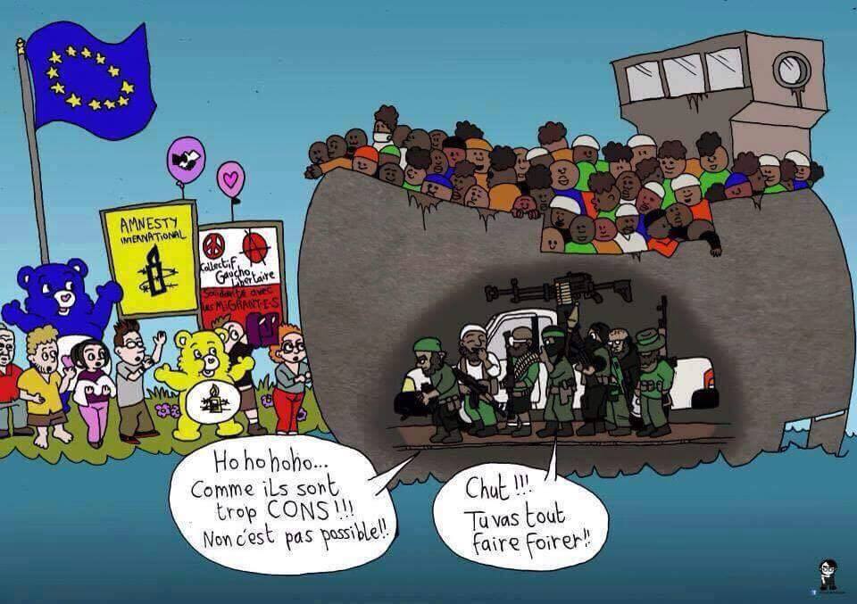 12079441_1133307646697766_3881088328417644709_n