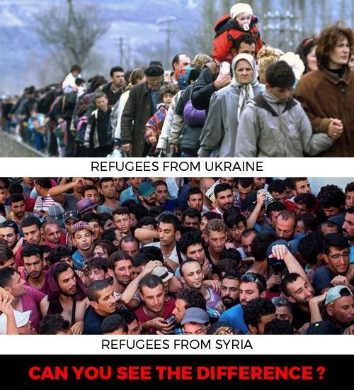 12299299_503423443163918_1244010829274282046_n