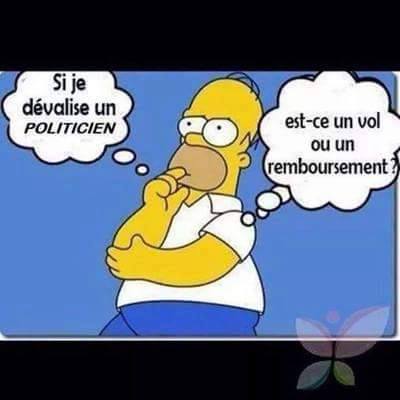 12932556_1079575278768708_7561828696181586056_n