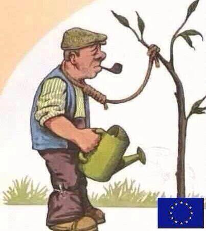 13118945_545485288988242_7724959834216352701_n