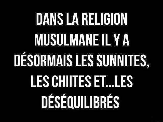 13770359_1335181869843049_4349997851837404995_n