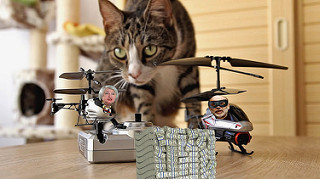 28183427952_396cf30c3c_n