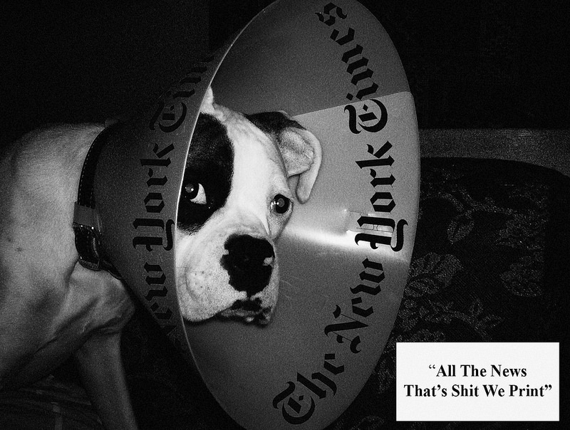 22780863258_2572d1edb2_c