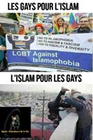 15541665_1215030311911746_7693861691402598820_n