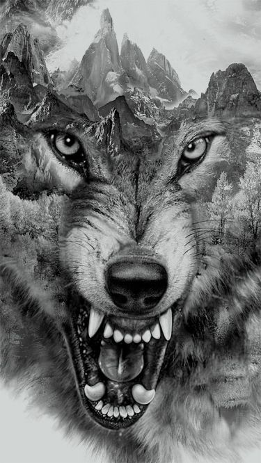 2d1c9d9768838477793e1c01b00ddcca