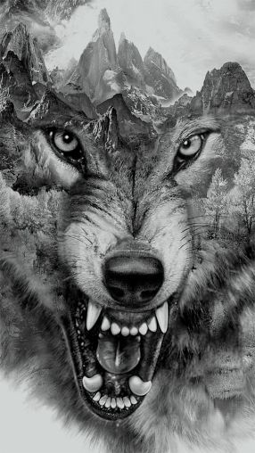 2d1c9d9768838477793e1c01b00ddcca